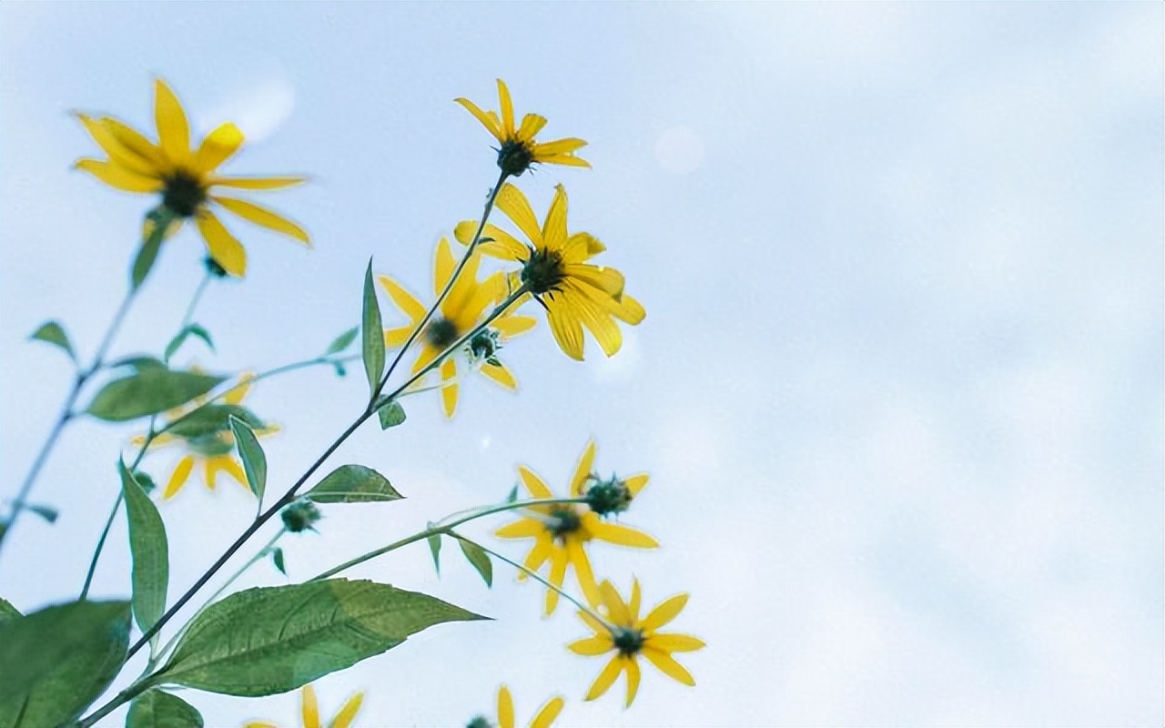 如果相爱不能在一起，有种做法很明智