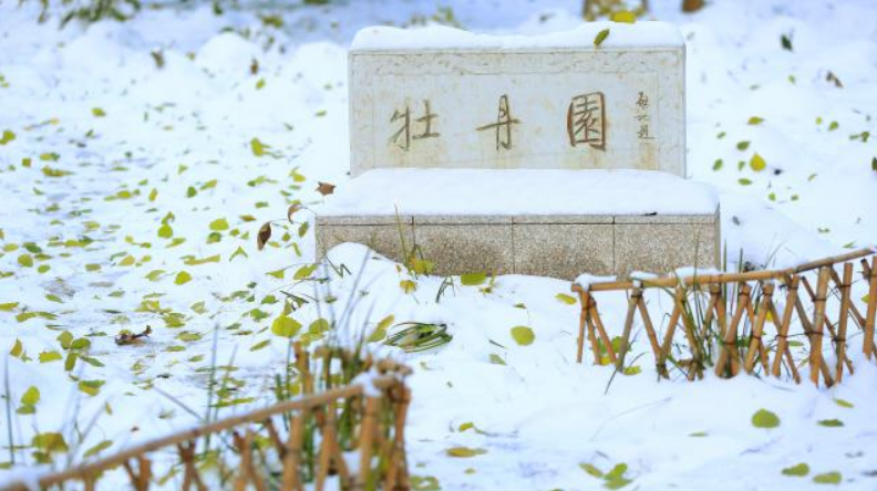 中国师范类排名前30强，2所985排前二，10所排名全国前百