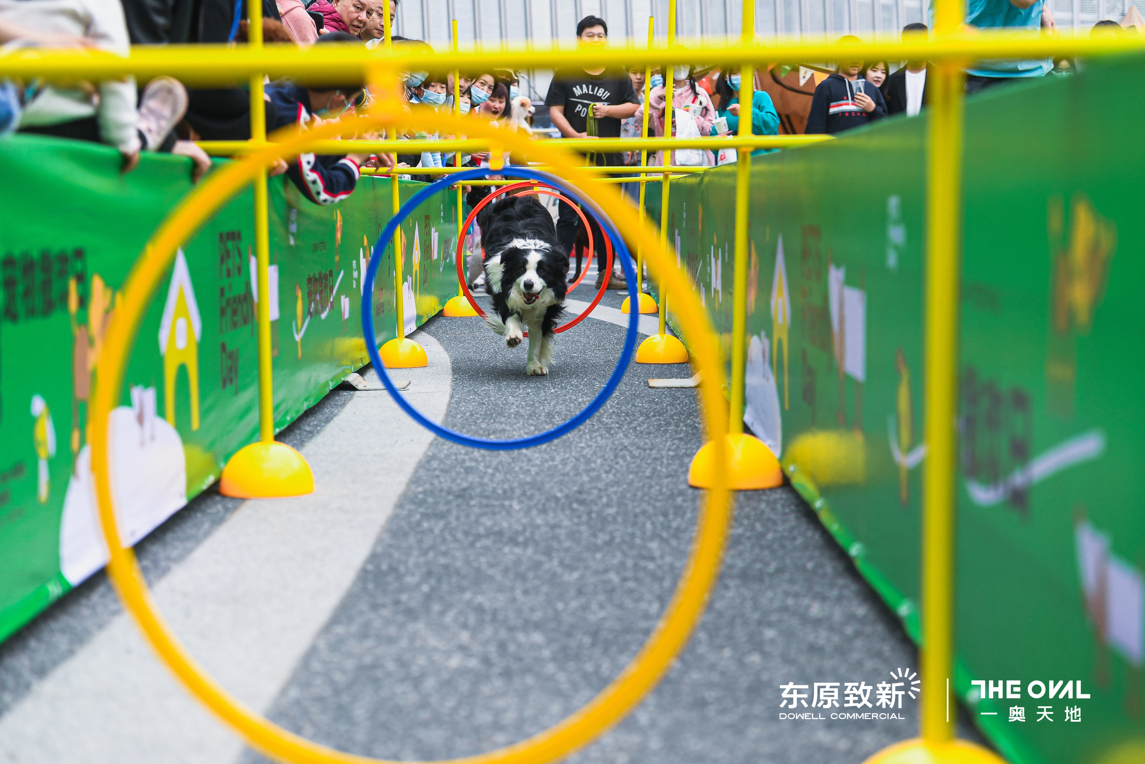 一奥天地户外生活节 户外生活春日新趣