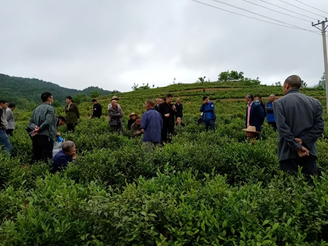 点亮乡村振兴的每一盏灯 湖北省竹山县市场监管局在行动