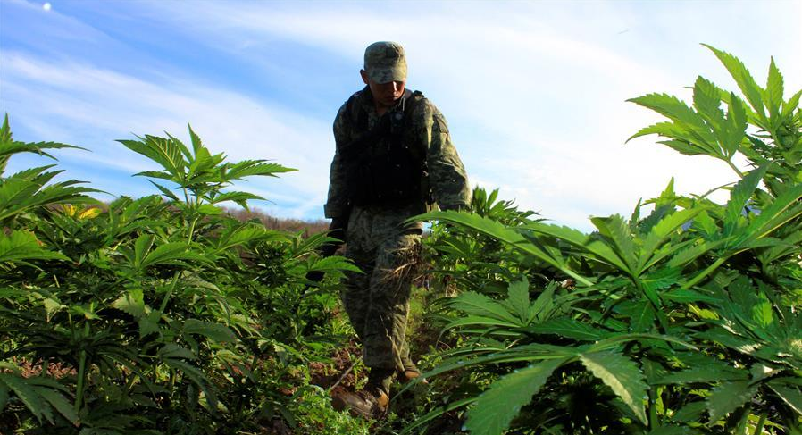 古斯曼：世界头号通缉犯，爱好是娶老婆，被捕后花126亿美金买命