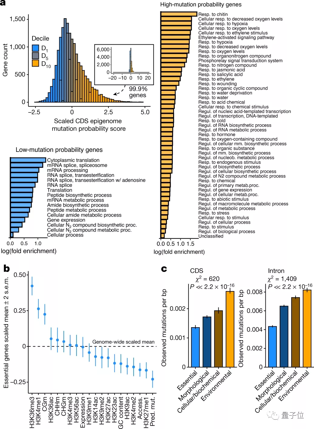基因突变不是随机的？！Nature最新OO挑战进化论