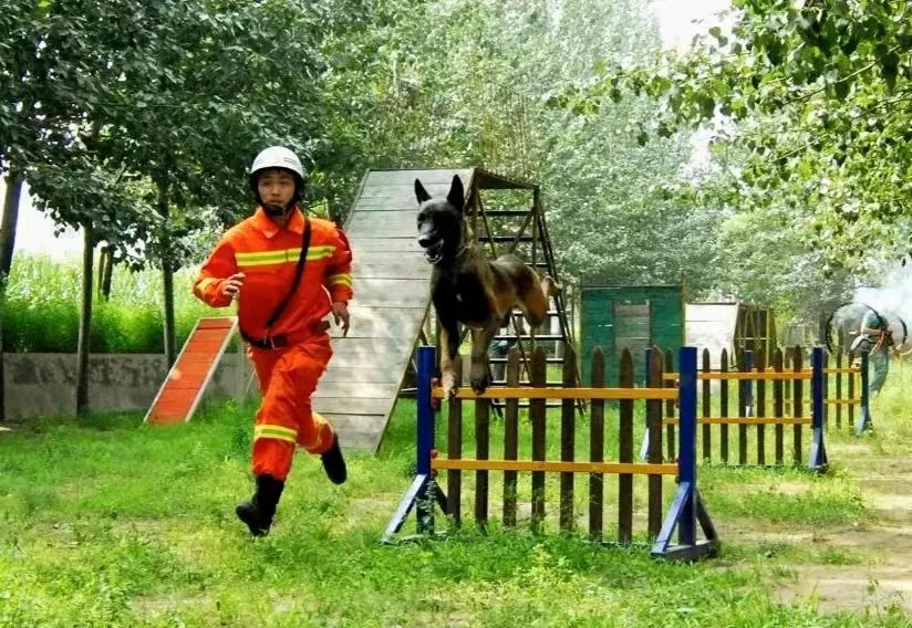 线上展览|“喜迎二十大 永远跟党走”庆祝“八一”建军节摄影作品线上展览（二）