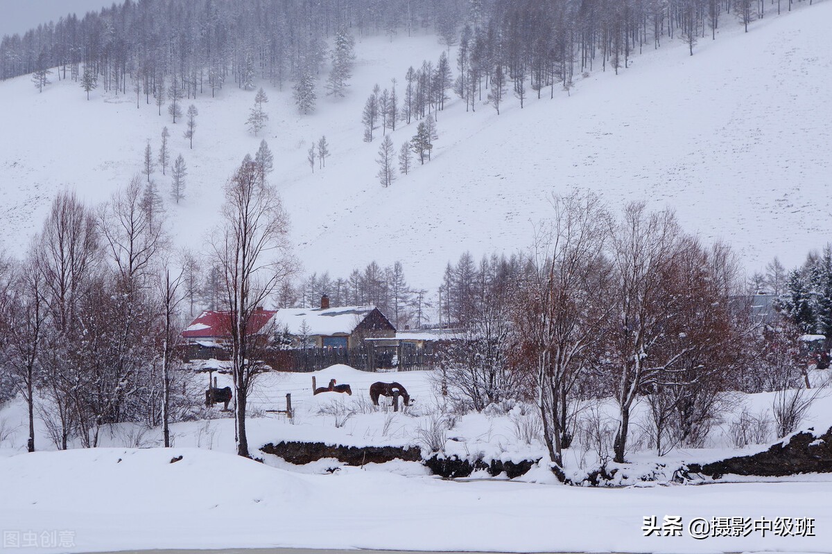 怎么拍雪景？一共5个摄影技巧，相机参数一定先设置好