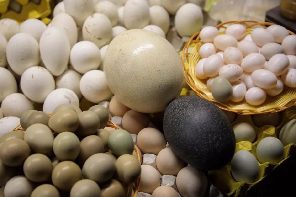 全国最好吃的15大夜市，没逛过就可惜了