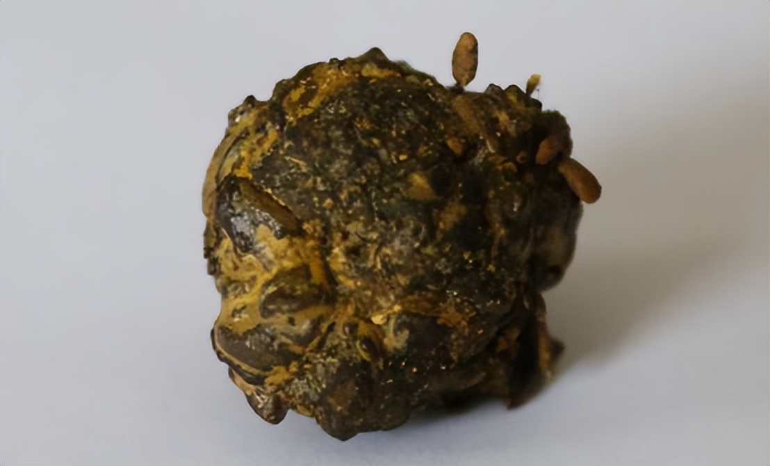 江苏一烧烤店发现5个"羊宝",395克价值200万,咋这么贵?