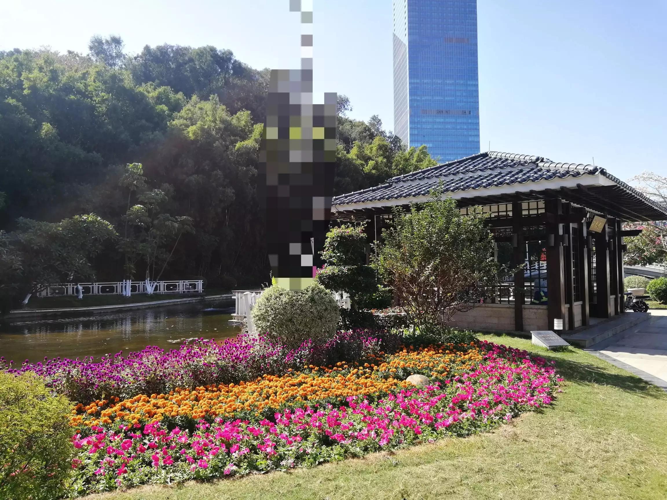 地铁4号线大学城游玩攻略，领略那不一样的广州大学城风光（C篇）