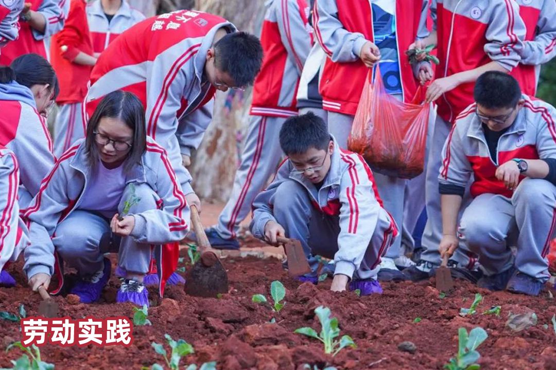 “衡心”闪耀，精彩启航！这就是云南长水（衡水）实验中学