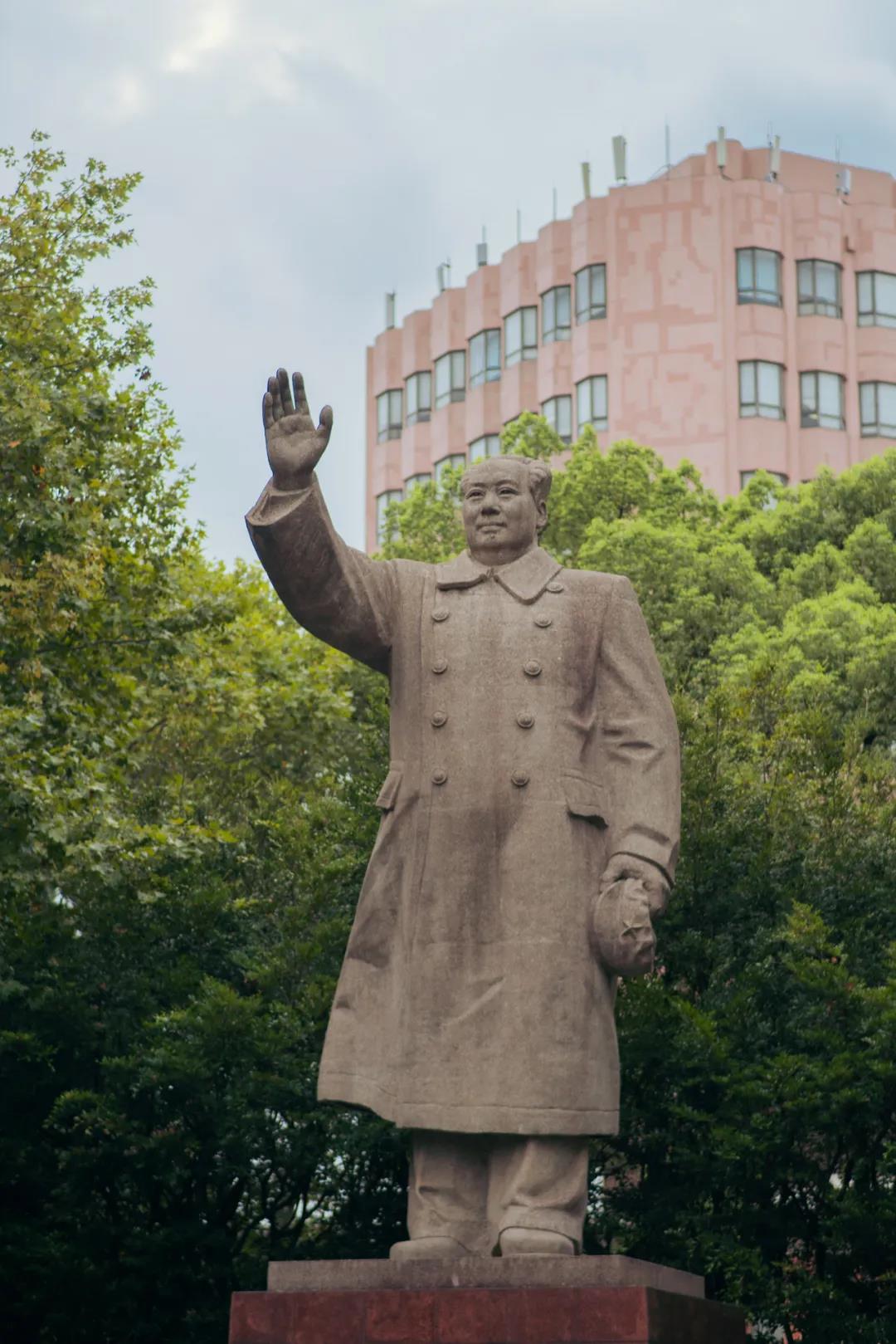 糟糕，同济大学的浪漫太会俘获人心了吧