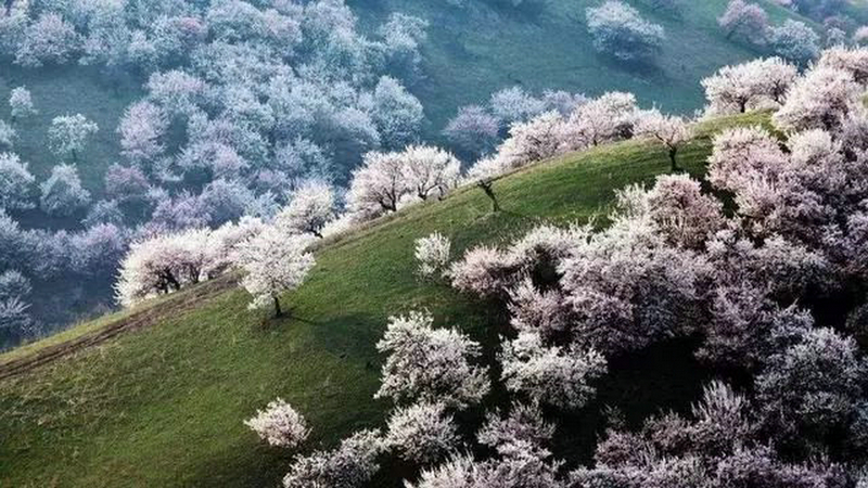 诗和远方 中国十大打卡地