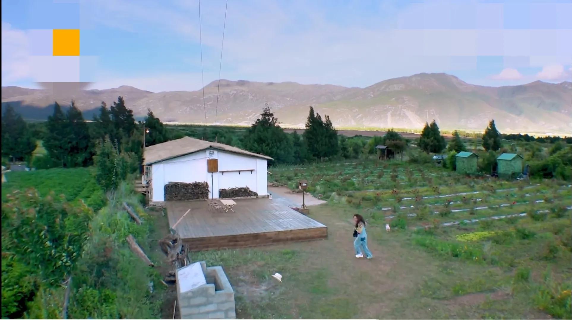 容祖儿抓猪画面爆笑