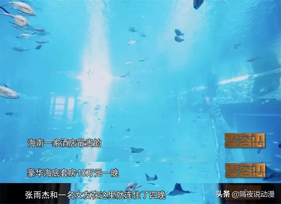 “8700万青眼白龙”上央视!一名二次元宅,如何因贪欲走向堕落?