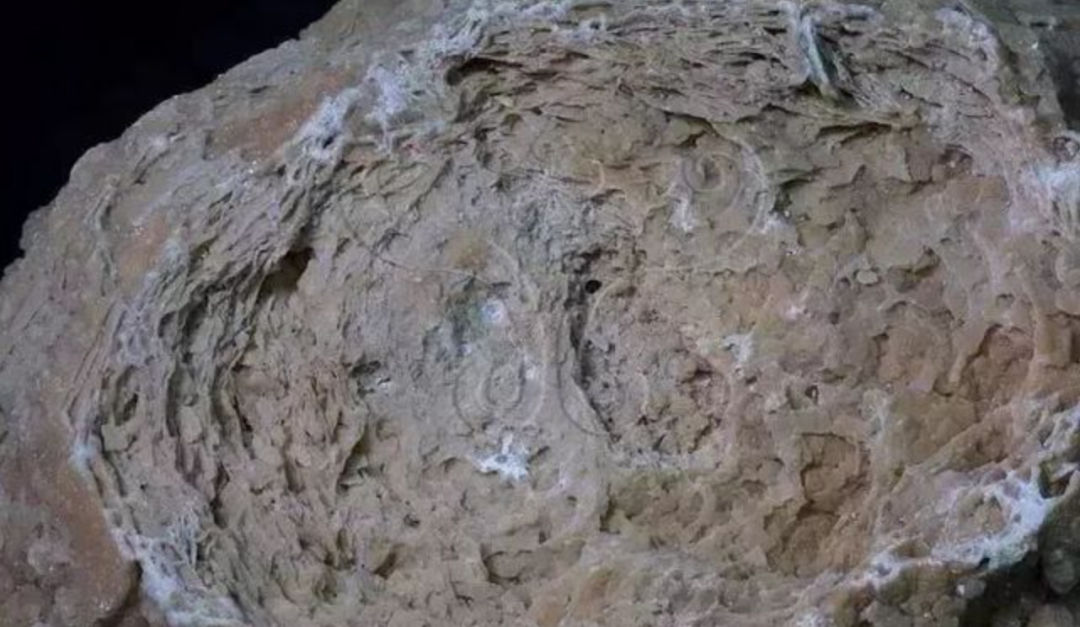 226,000年前，谁留在谁留在Aomi西藏西藏帕萨的小组？