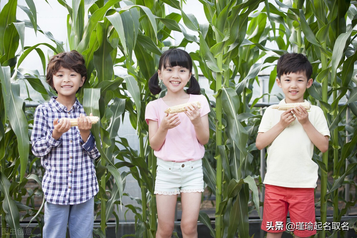 用志向学问相关的字给孩子起名，预祝孩子才华横溢，乘风破浪