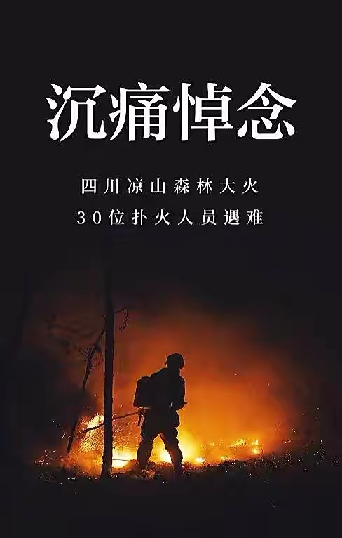 关于山东，我想对你说