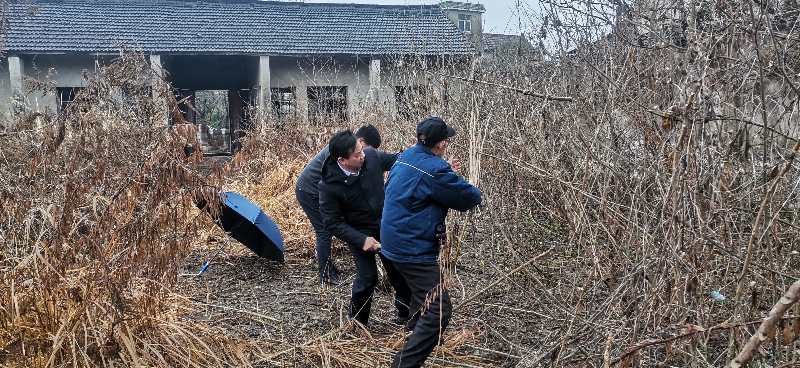 安徽芜湖：塔塘胡家好儿郎！600余年古宗祠里迎新春，传承好家风