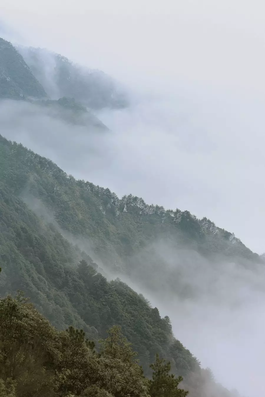 山居，生活本来的样子