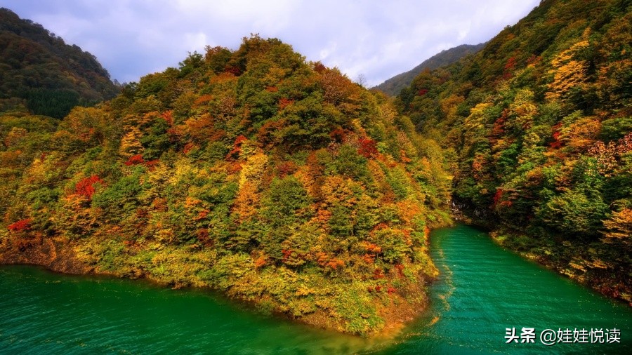 舍不得删除的伤感句子，引发共鸣，让人伤心到无精打采