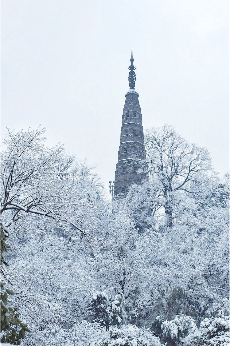 醉美西湖：春夏秋冬，雨雾晴雪，你都能看到西湖不一样的美