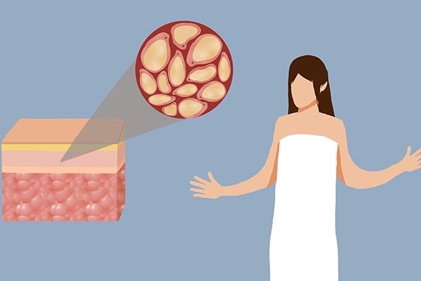 酸奶、牛奶有什么区别？如果每天喝酸奶，身体会有哪些变化？