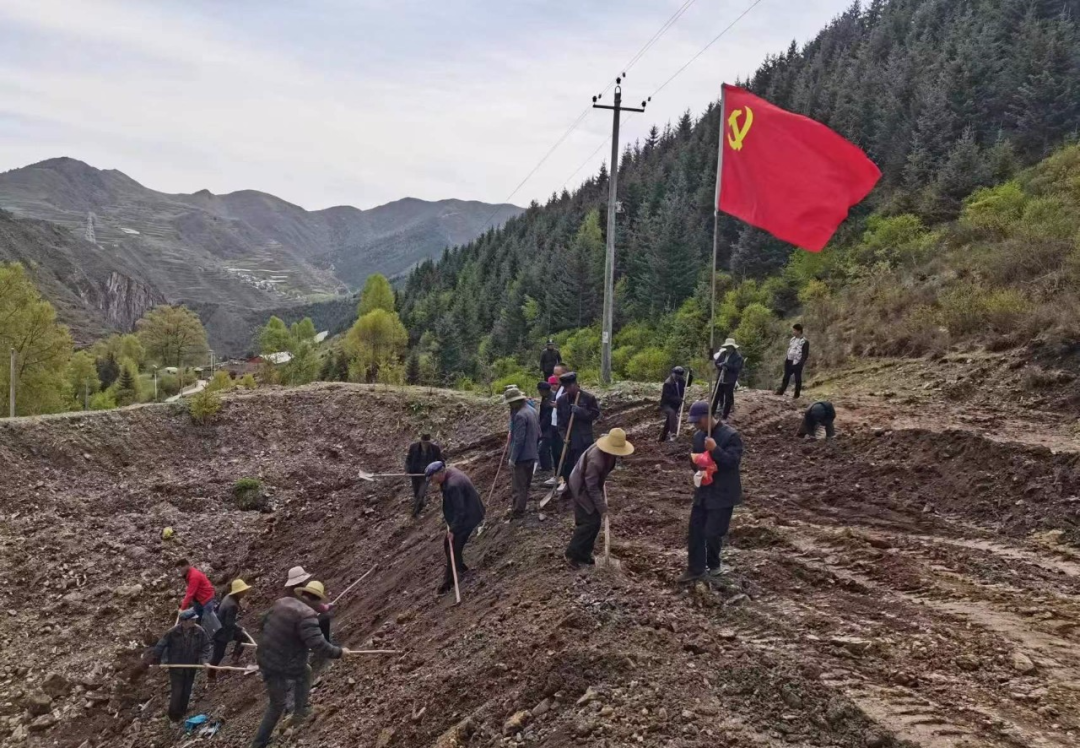 【五无甘南 十有家园】羊沙镇开展“净美羊沙，我在行动”主题实践活动