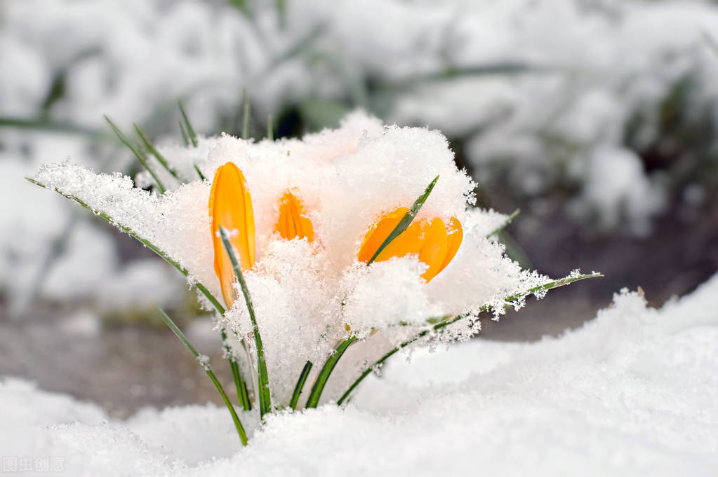 适合大雪节气朋友圈文案短句