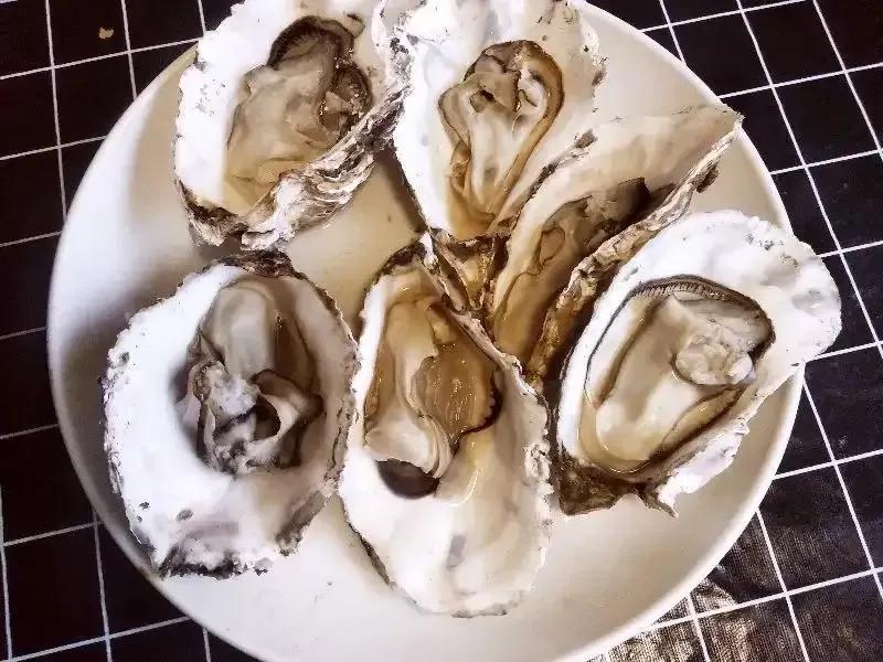 都是牡蠣，海蠣子和生蠔有何區別？弄懂再買不吃虧