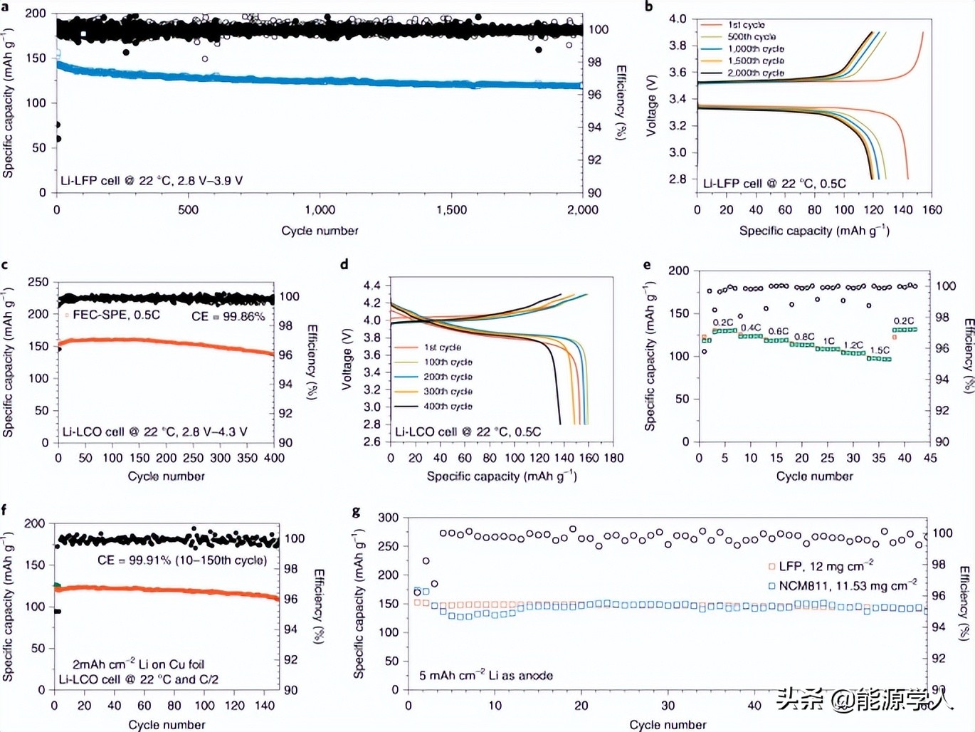固态电池循环超2000圈！冷冻电镜揭示Li/聚合物电解质界面设计