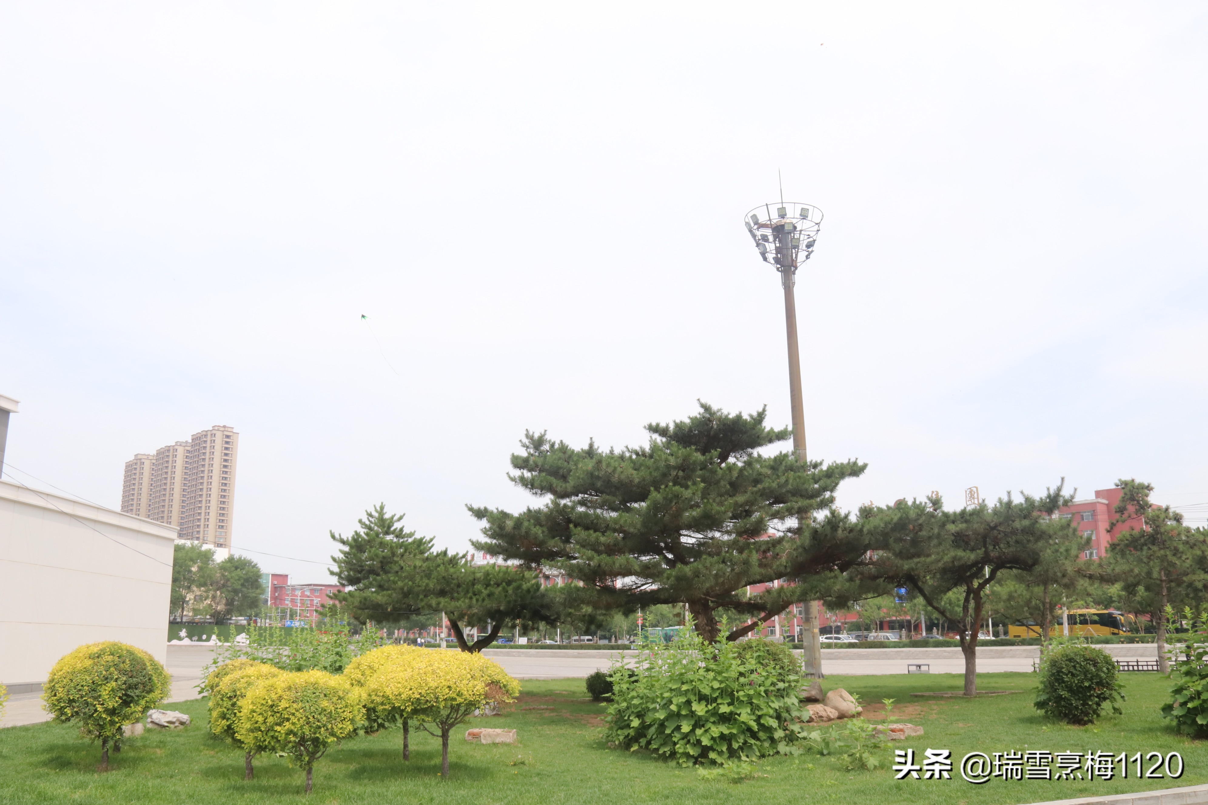 地名档案 | 沈北新区虎石台街道：宁王伏虎之地