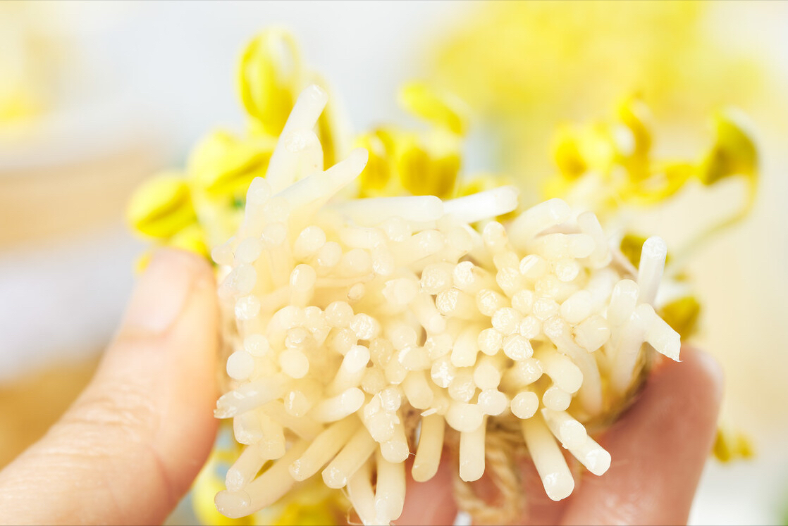 初春，菜市场5种蔬菜别乱买，菜贩自己都很少吃，顾客却经常买