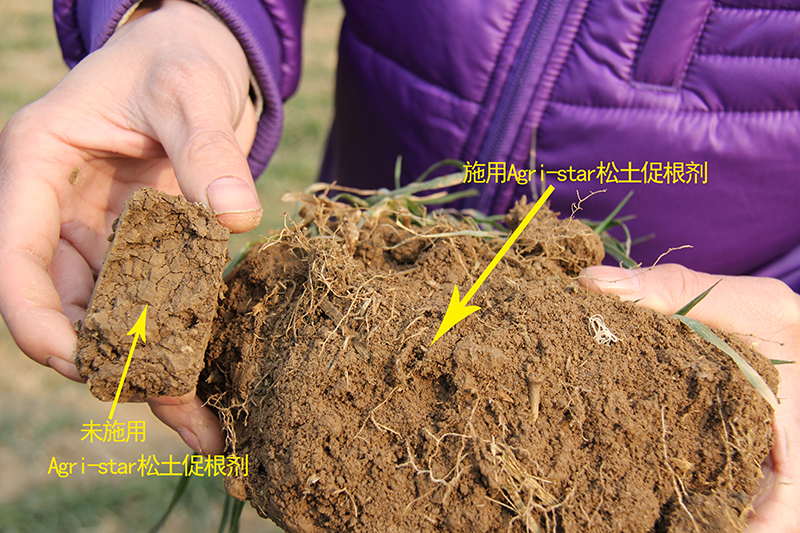 土壤改良应用“健康耕层构建技术”“松土促根土壤改良技术”调查