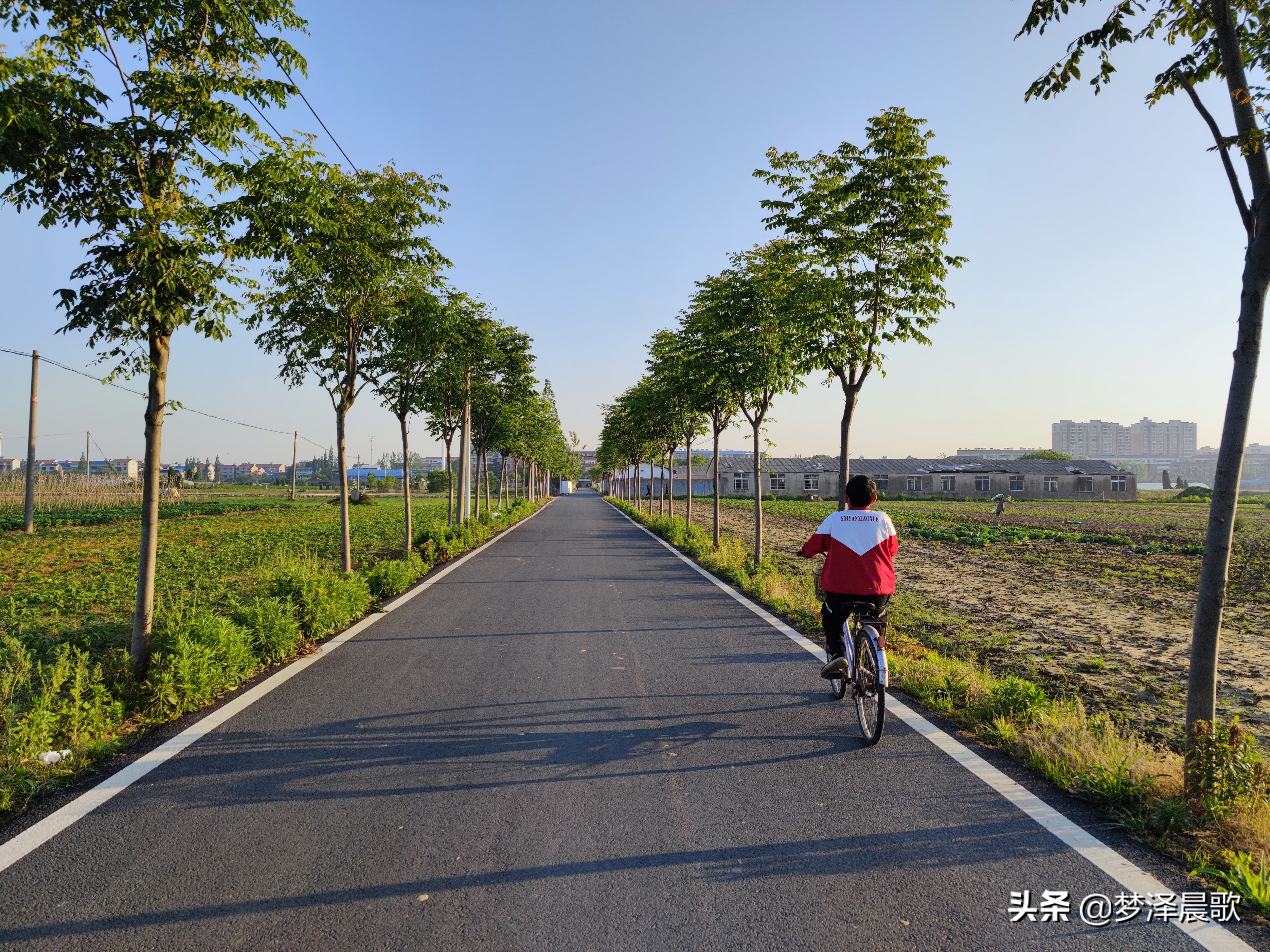 乡村道路颜值高通村道路建成景观道
