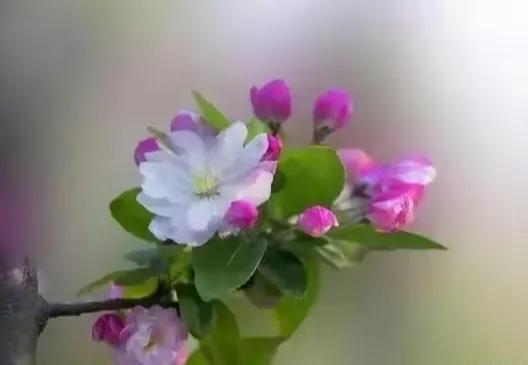 2022高考押题Ⅰ2021高考“强弱之变”满分作文《自强不息筑锋芒》