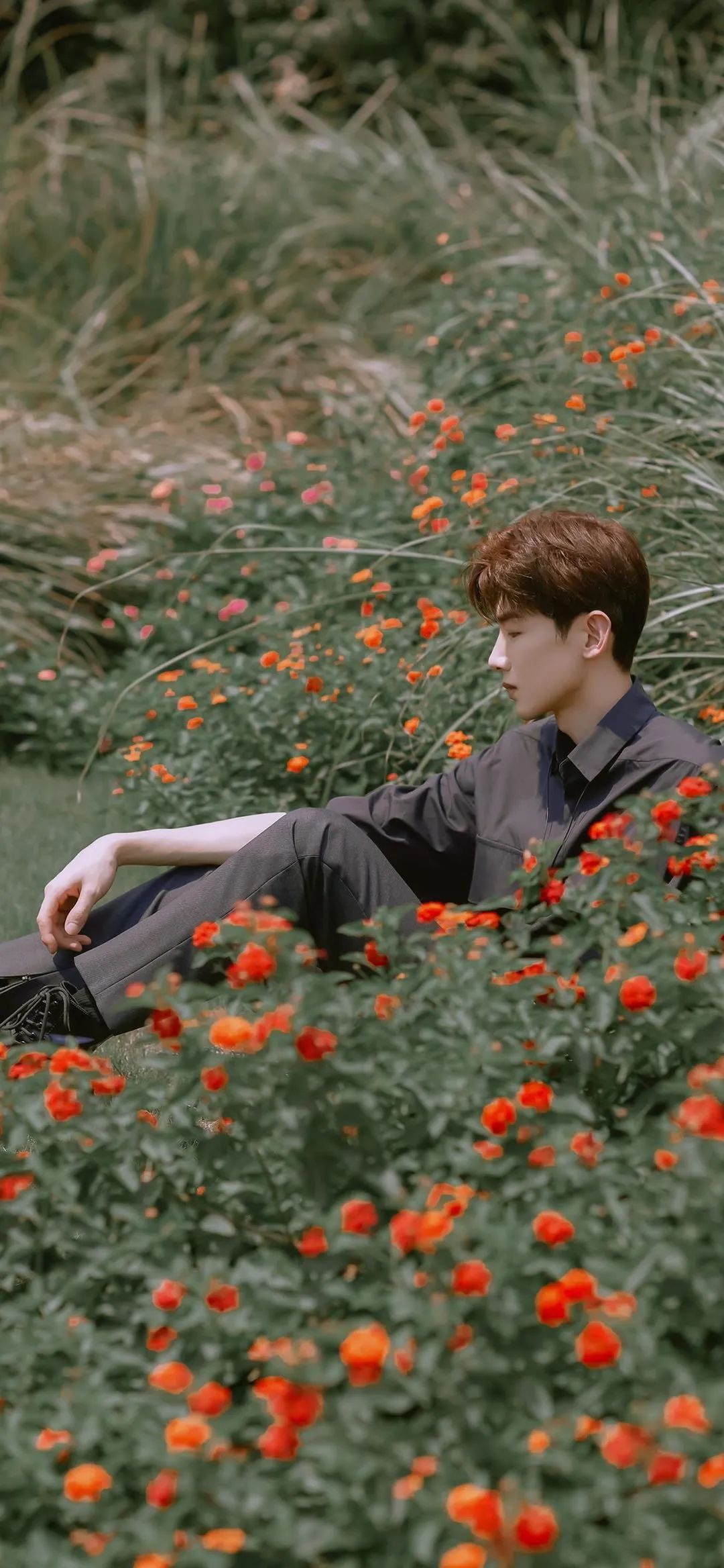 精选男明星壁纸合集｜秦霄贤｜白敬亭｜胡歌｜车银优｜陈立农