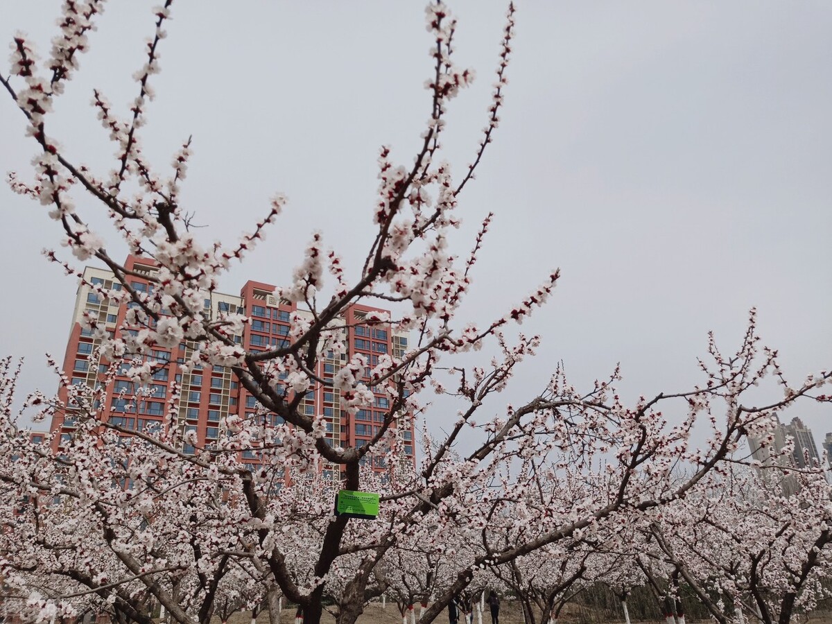 这四所医科大学收分略低，在山西二本分数就能报，性价比高