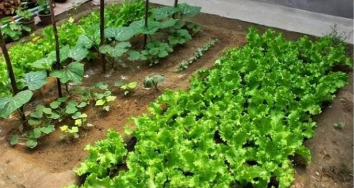 七年前中国女大学生嫁给非洲王子，生下2个女儿，现娘家定居非洲