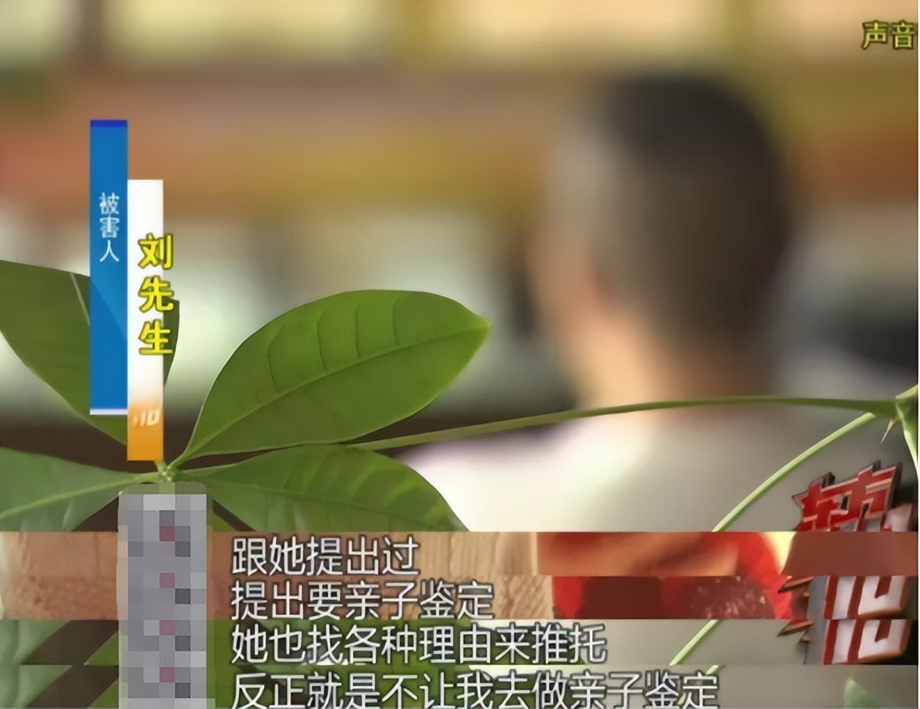 2012年，上海富商包养大学生，生仨娃花费2000万，最后发现被骗了