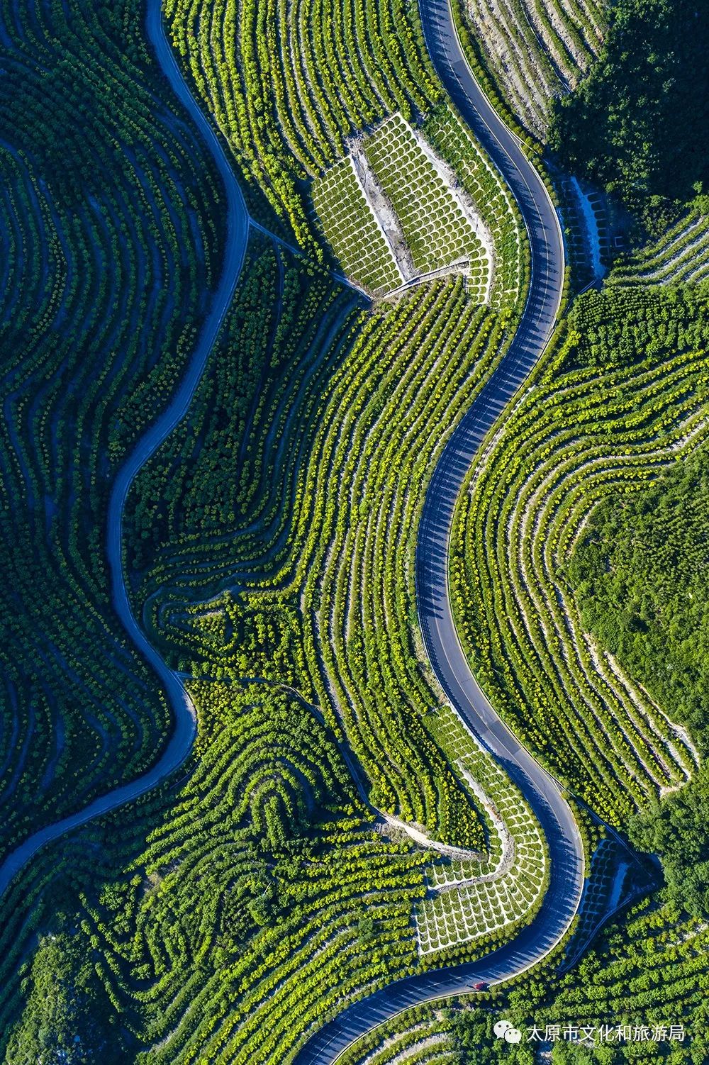 山西太原：天龙山公路成生态游打卡目的地