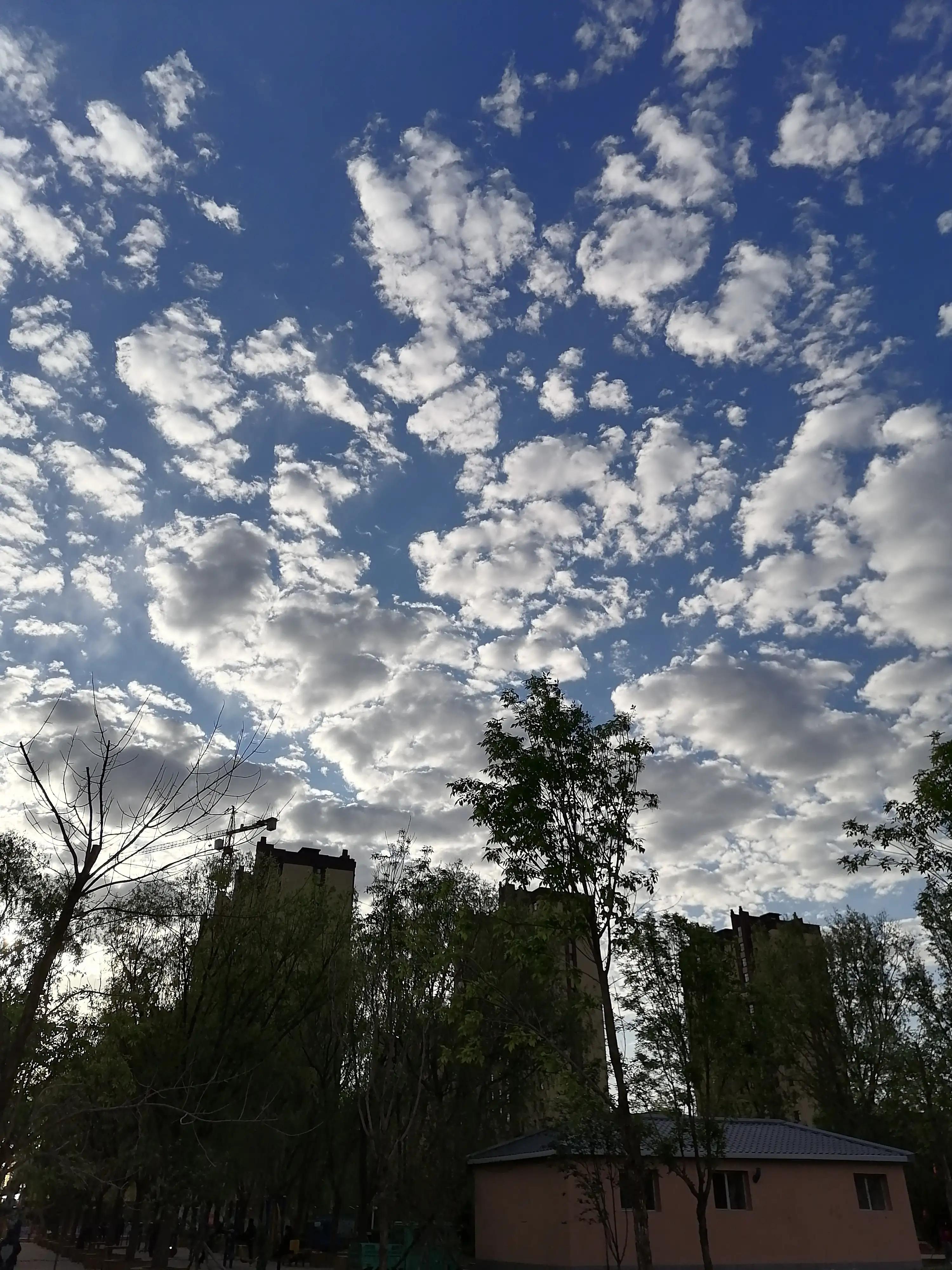 散文:美丽的云朵