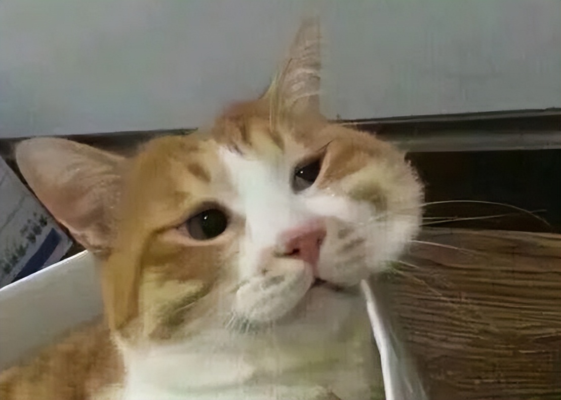 最强大脑潘周聃：因学霸式起身爆红全网，爱因斯坦是他大学校友