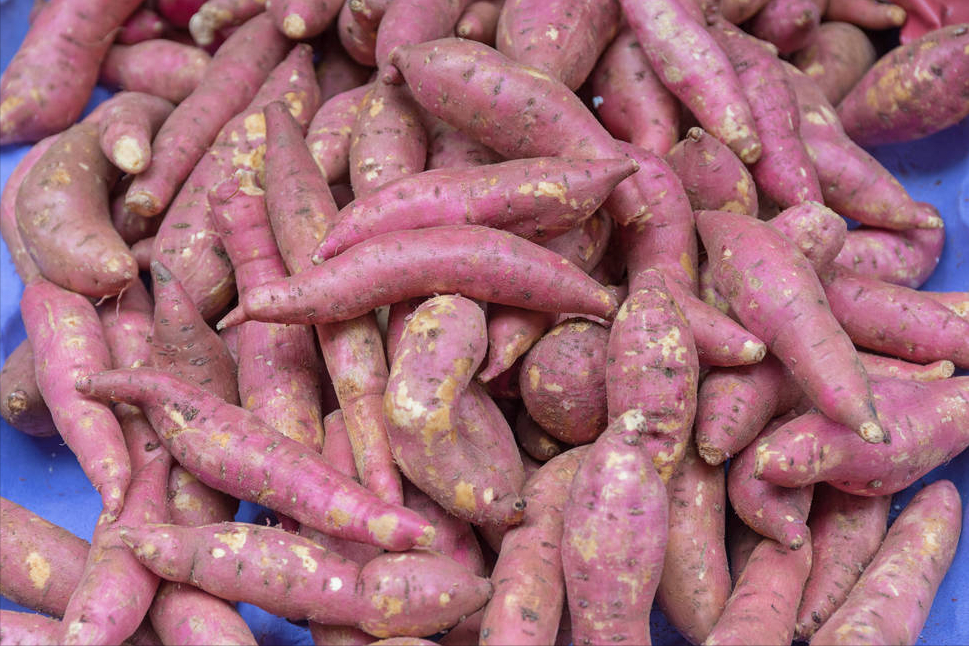 红薯不要随意放，巧用一招，保存半年不烂不发芽，越放越香甜