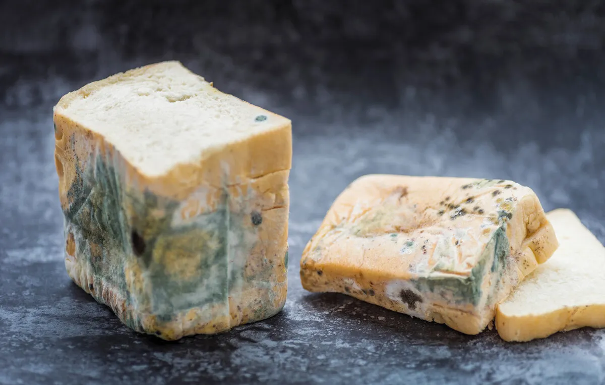 家中的2大“卫生死角”，容易窝藏细菌、病毒，需要你每天清理