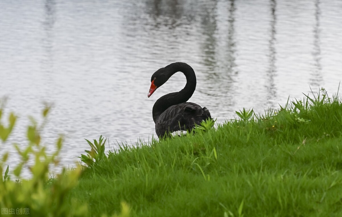 浙江师范大学研究生招生信息网（浙江师范大学非洲研究院2022年硕士研究生招生一志愿复试名单公布）