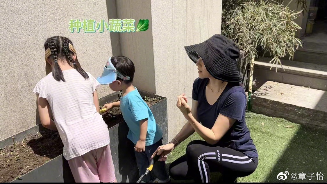 是女明星也是“菜农”！柳岩吃过刘亦菲种的茄子，张馨予家有农场