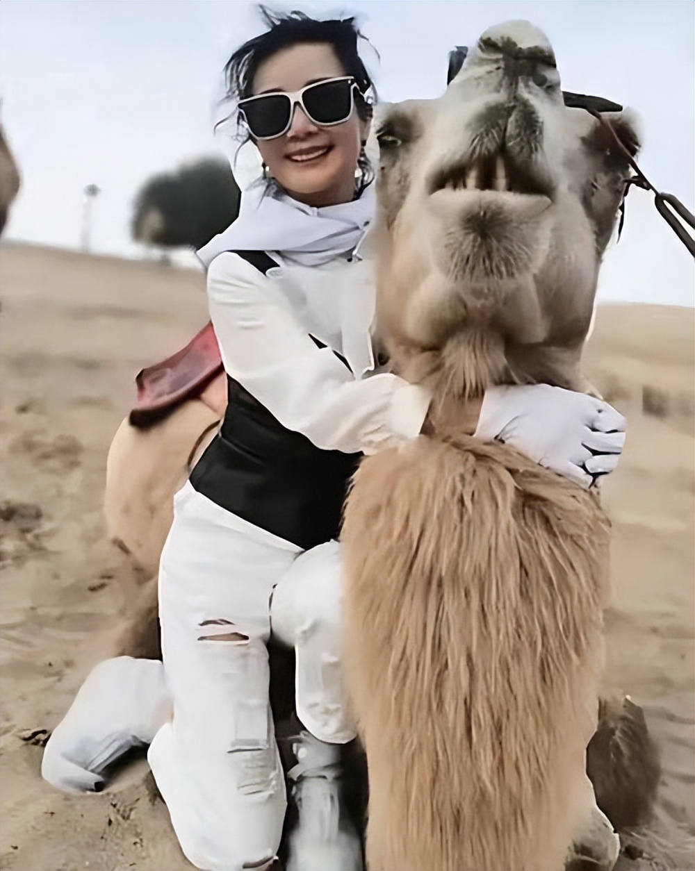 雪瑞姑姑“徐石萍”：58岁孤身赴加留学，花甲之年将生活过成诗歌