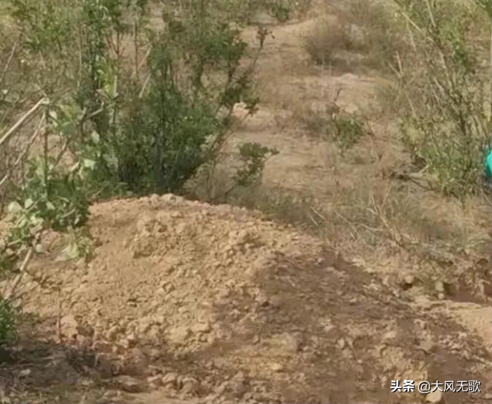 天理不容！儿子为宣泄心中多年积怨，强行将生母硬生生活埋