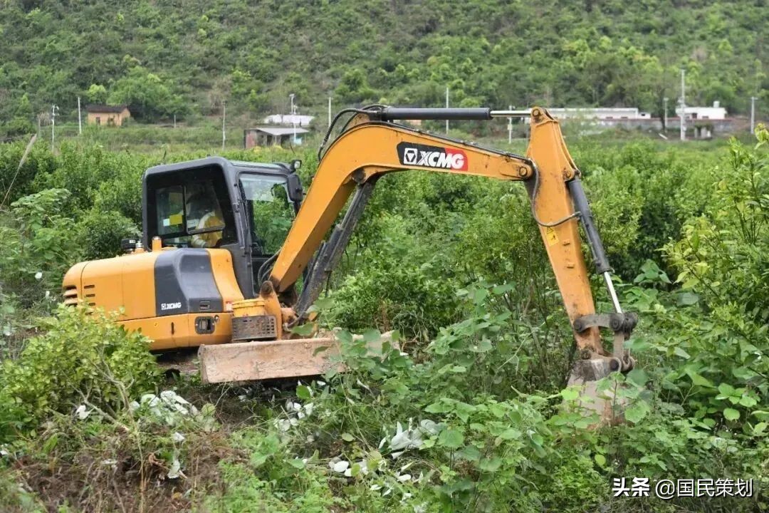 耕地“复耕”，乱象频出？不能忽视这三个方面