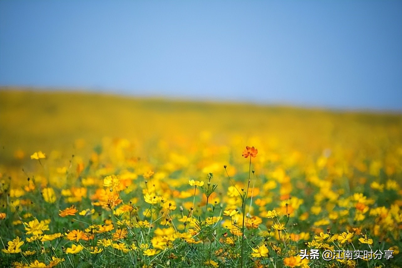 无锡这六处景点，每一处都带给你宫崎骏动画中，那份初夏的恋爱感