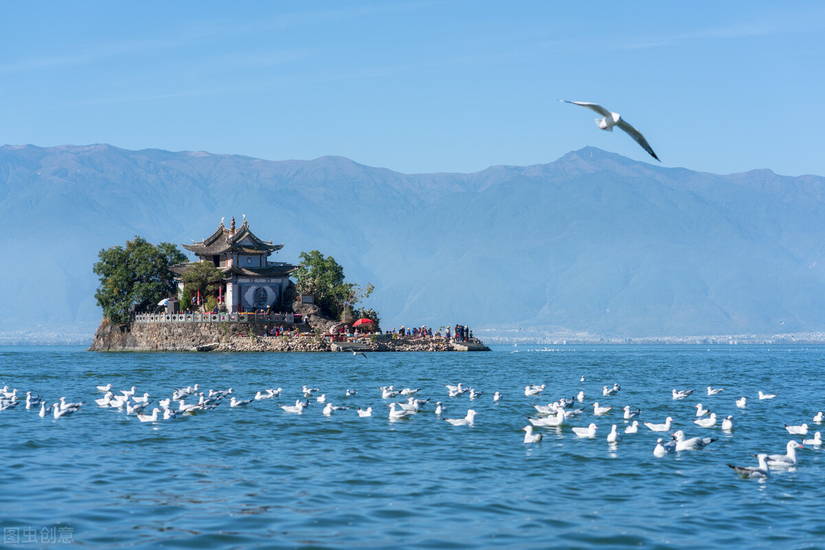 为什么要读书？看过许多回答，这几句最入我心