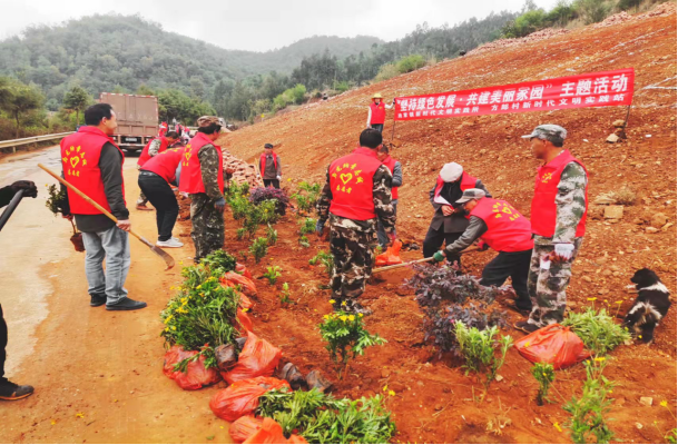 马龙区纳章镇：久久为功优环境树形象 建设秀美宜居靓纳章